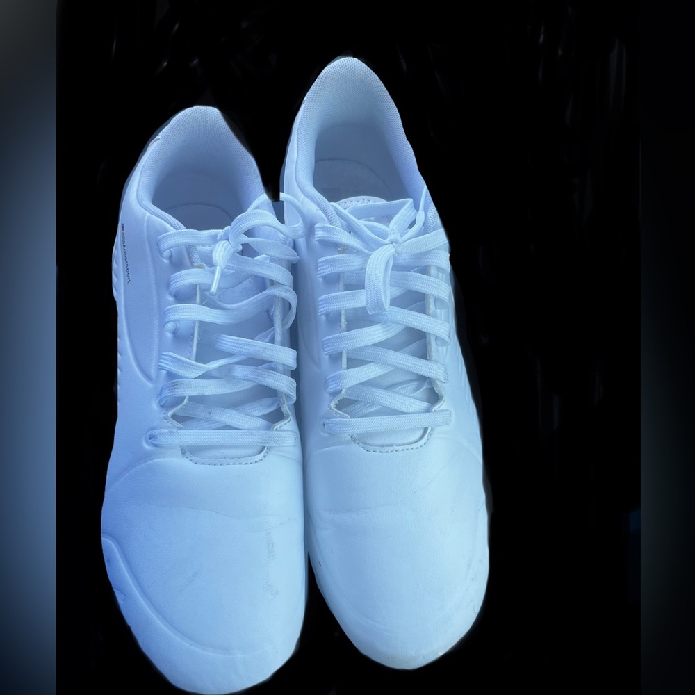 Men’s puma cart, BMW, series shoes